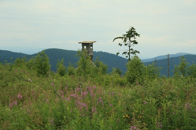 Glaswaldsee 2008 Bild 07